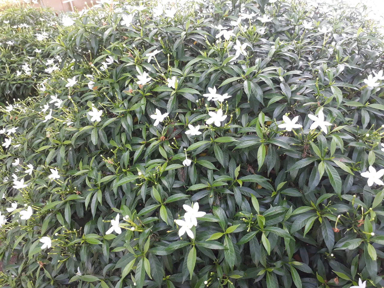 20201102_123243.jpg
