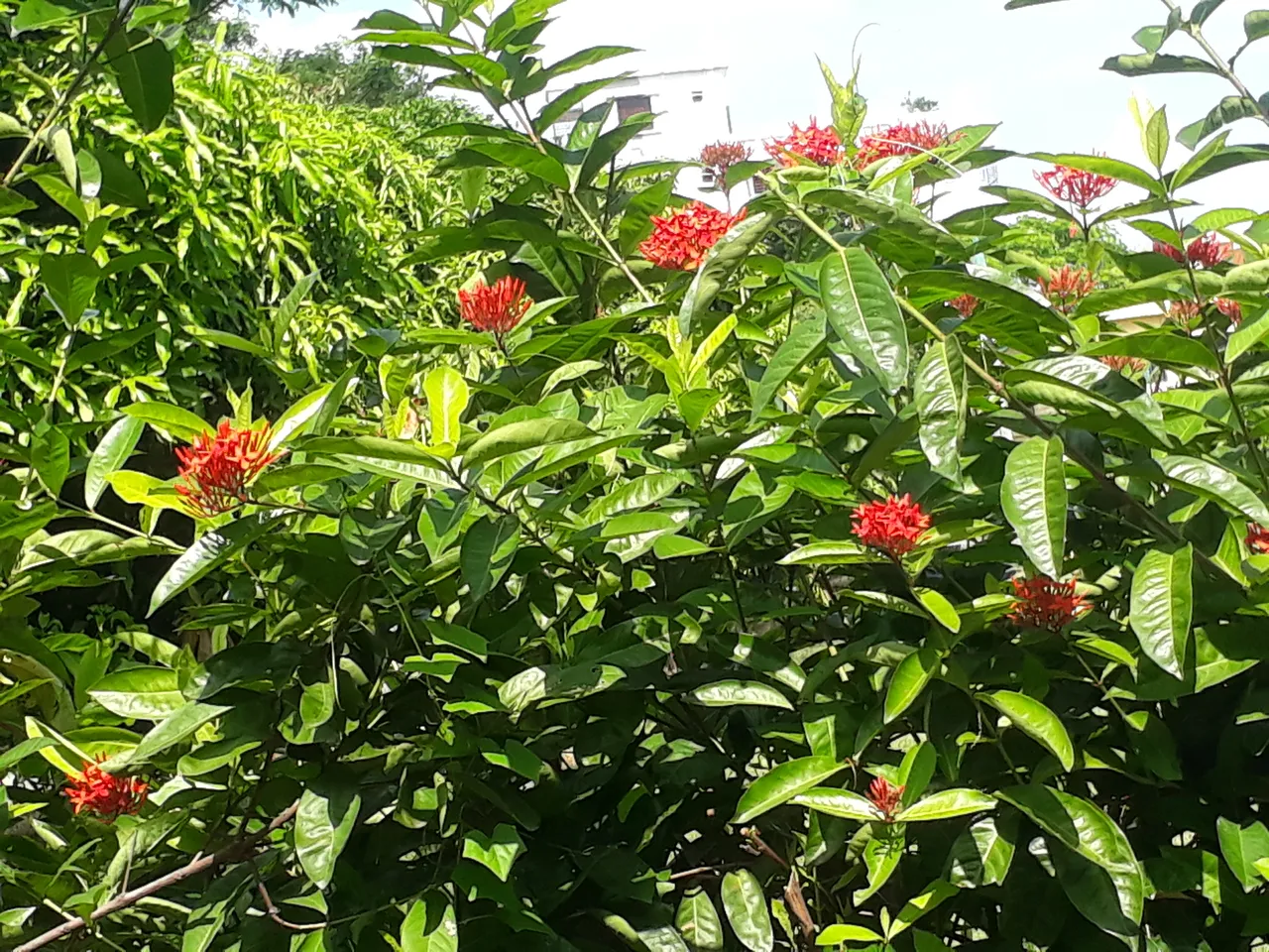 20201102_123423.jpg