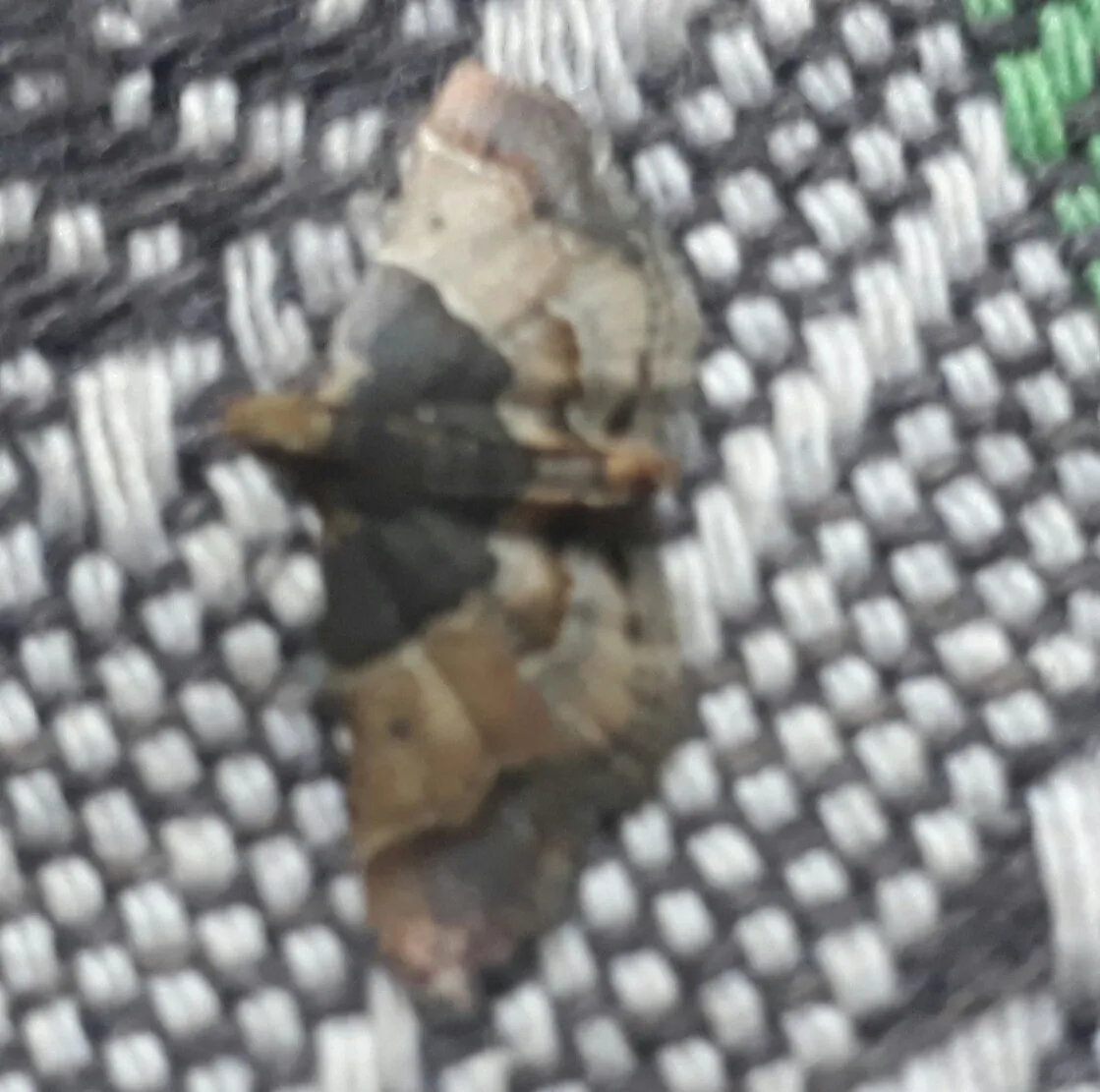 20200918_211634.jpg