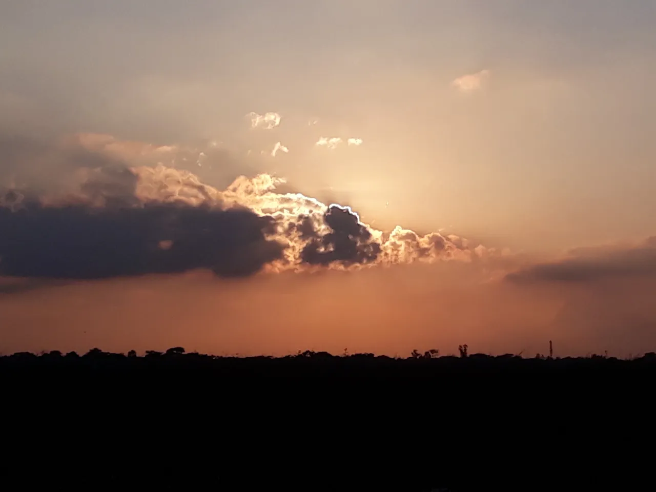 20200928_172602.jpg