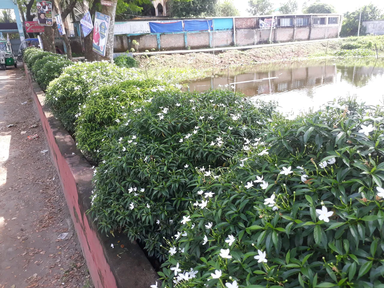 20201102_123246.jpg