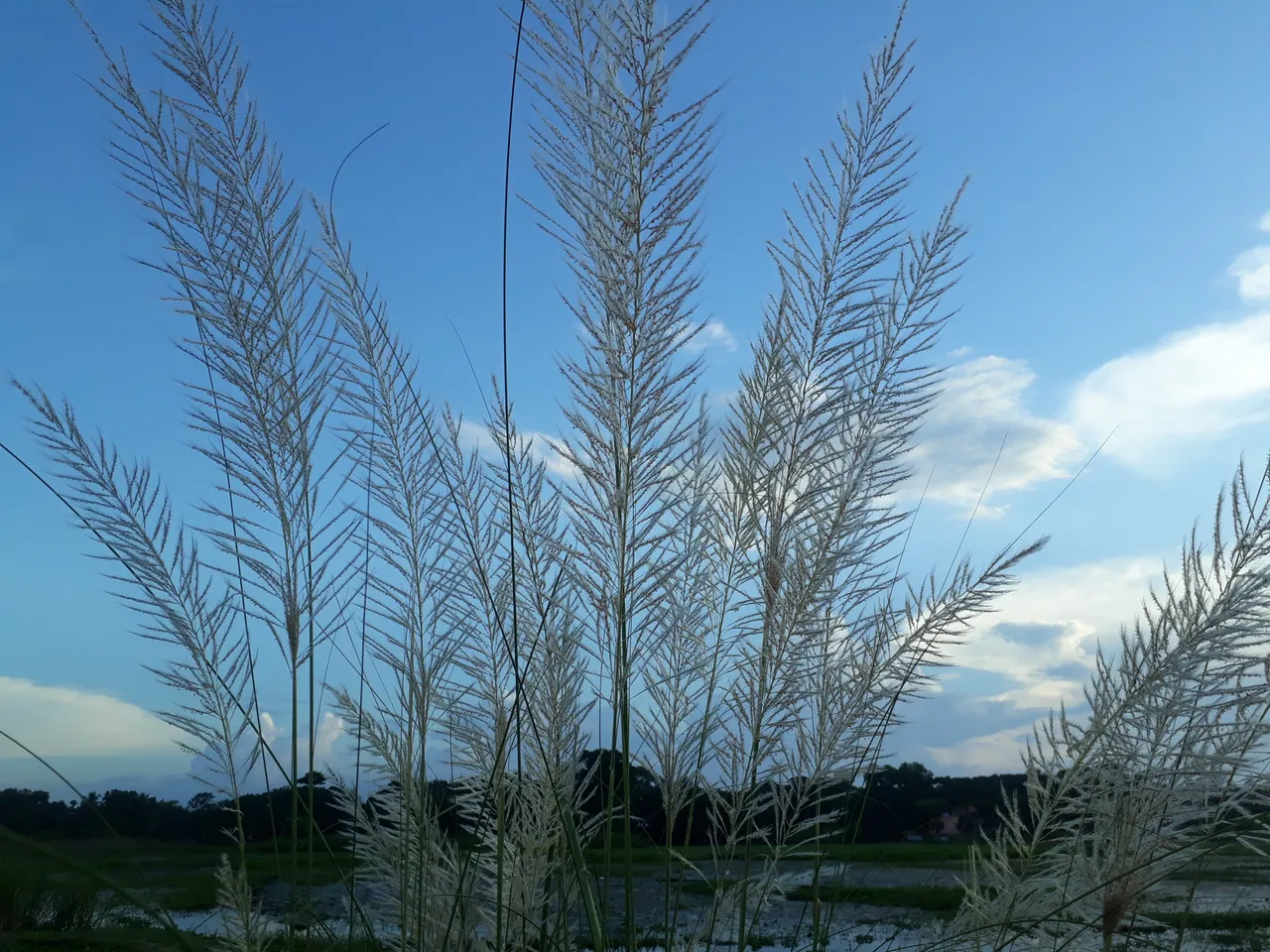 20201002_170547.jpg