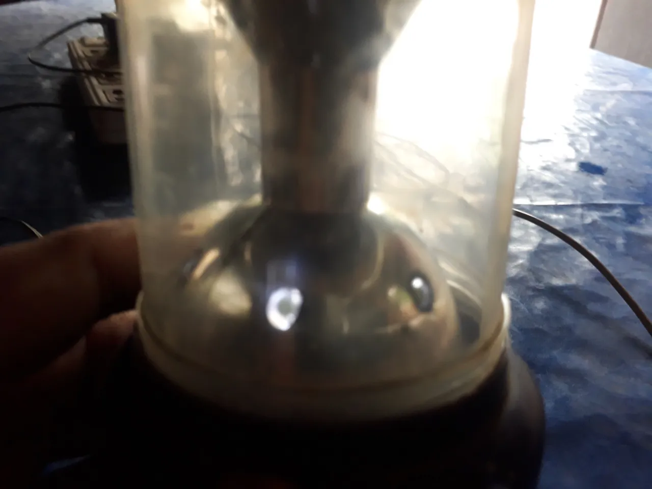 20200929_101743.jpg