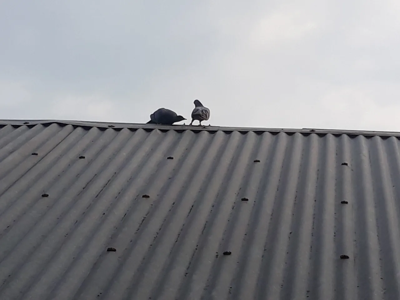 20200907_171910.jpg