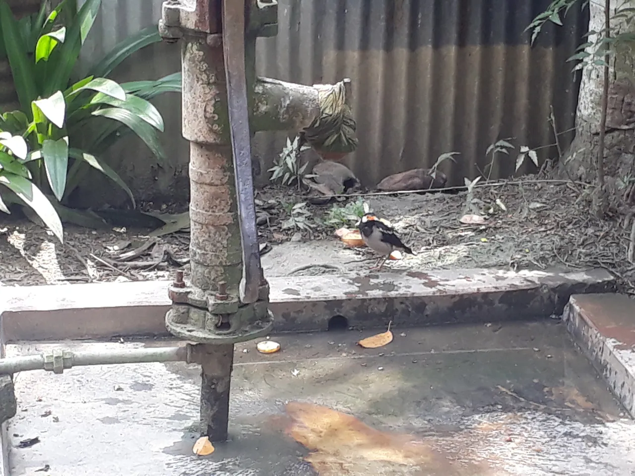 20200908_113639.jpg