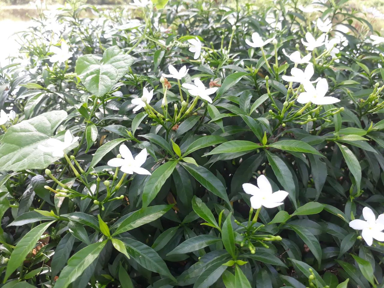 20201102_123251.jpg
