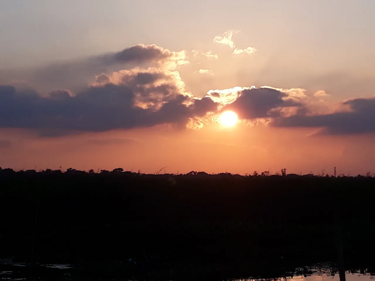 20200928_173003.jpg