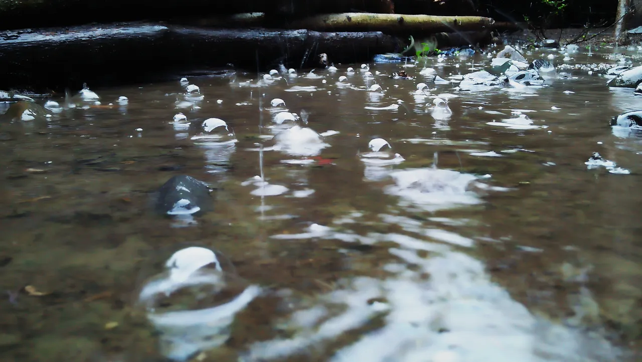 IMG20201209170405.jpg