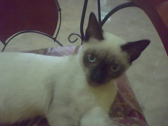 Imagen 010.jpg