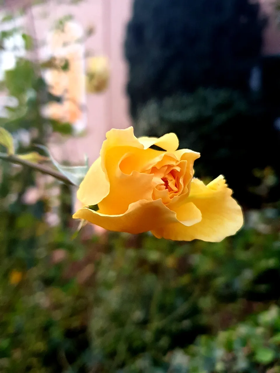 20191121_065112.jpg