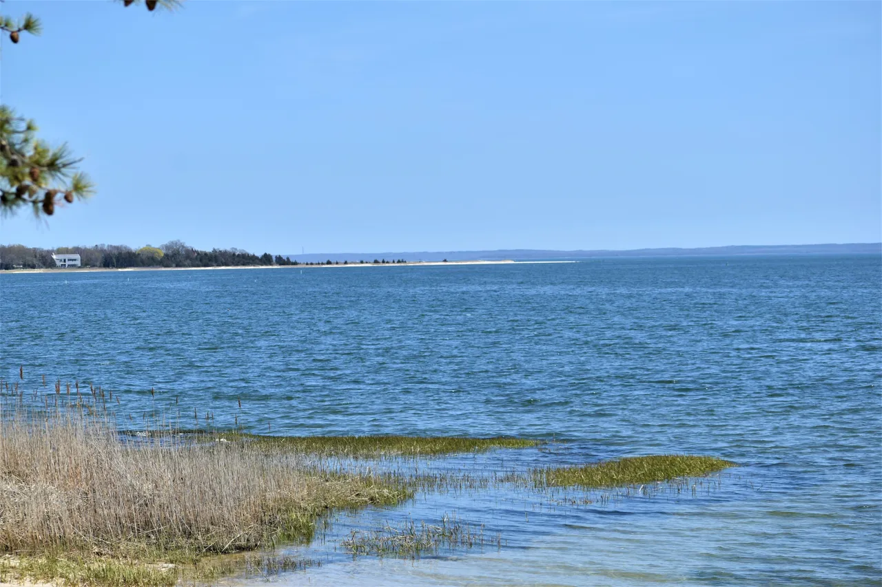 DSC_0587 2.JPG