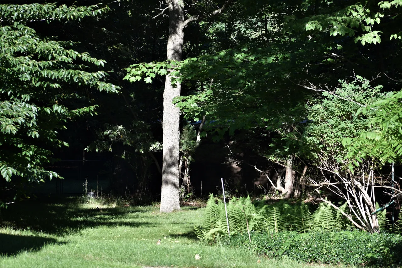 DSC_0193 2.JPG