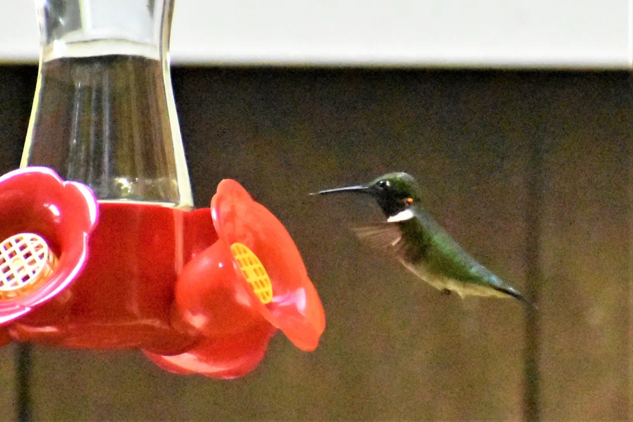 DSC_0881 2.JPG