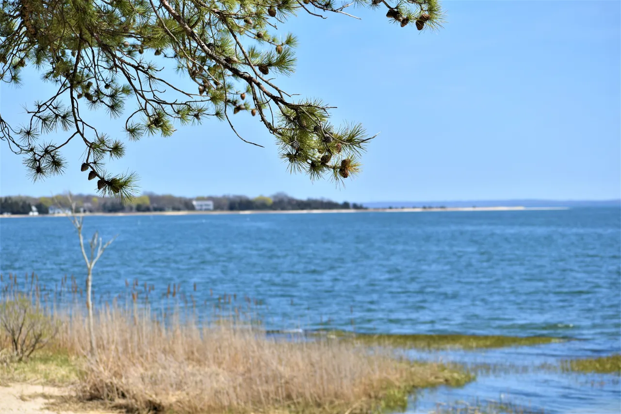 DSC_0591 2.JPG