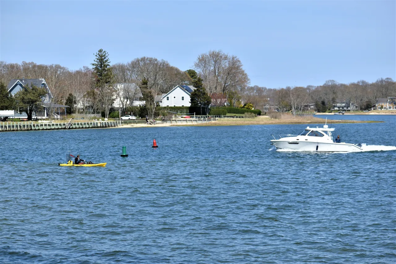 DSC_0594 2.JPG