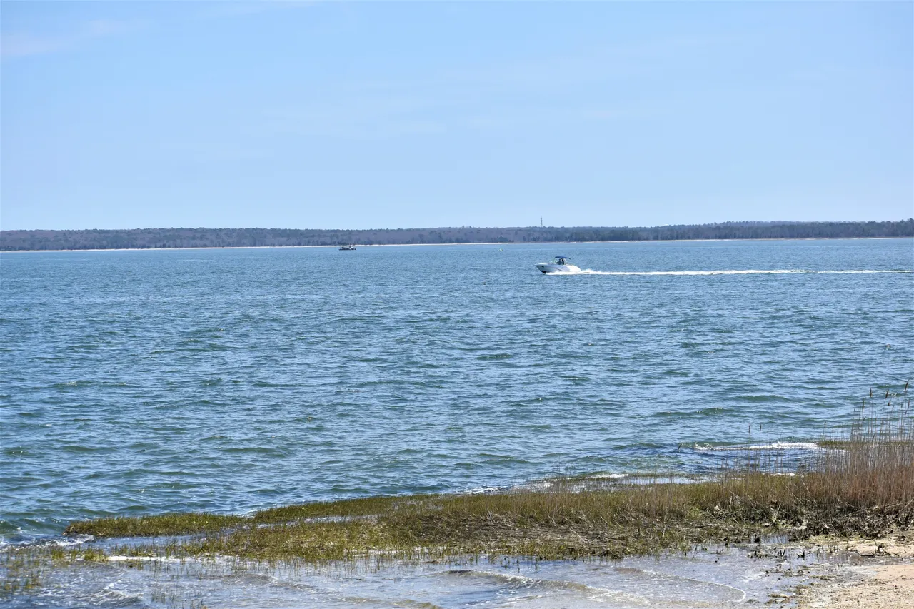 DSC_0599 2.JPG