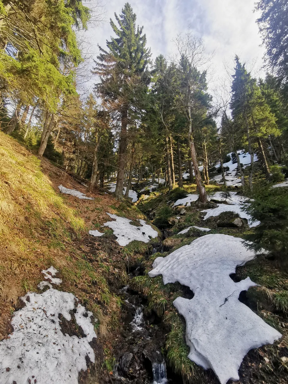 Water supply // Voda