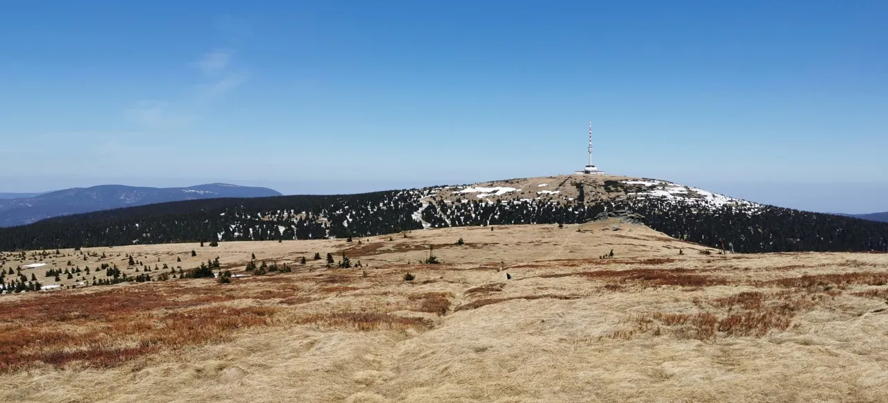 Vysoká hole