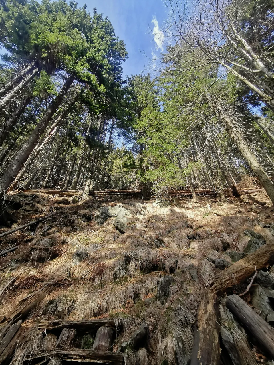 Steep slope along the trail // Prudký svah podél cesty