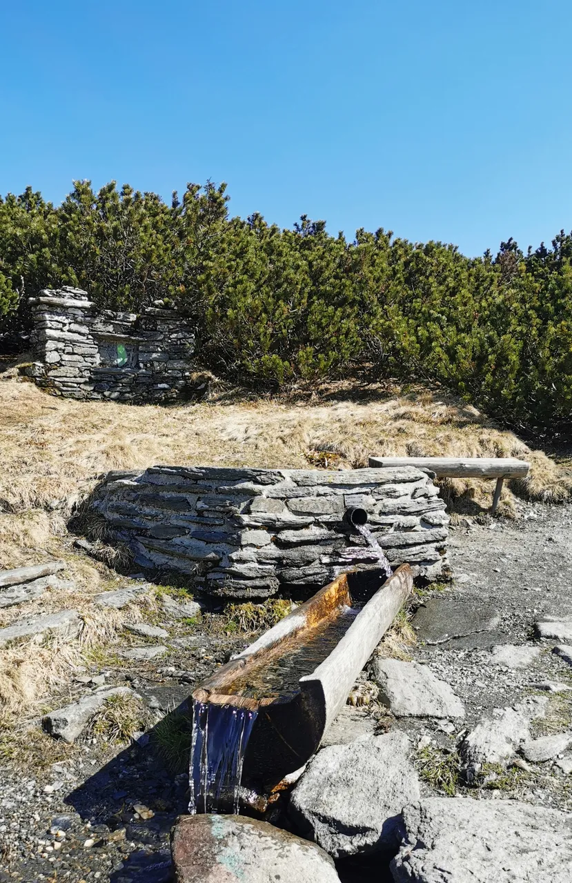 Jelení studánka