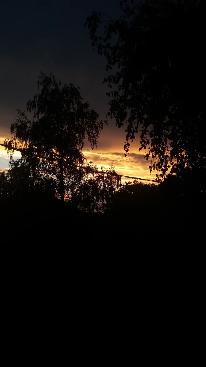 20160806_211322.jpg