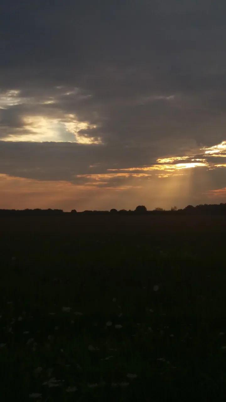20160730_203649.jpg