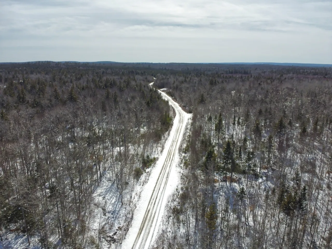 long road.jpg