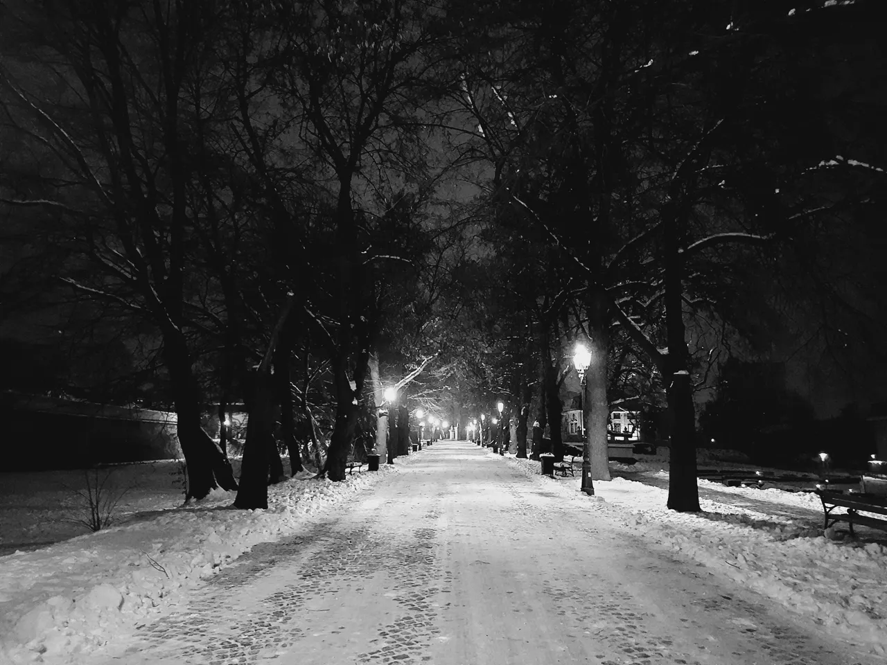 20210128_224321.jpg