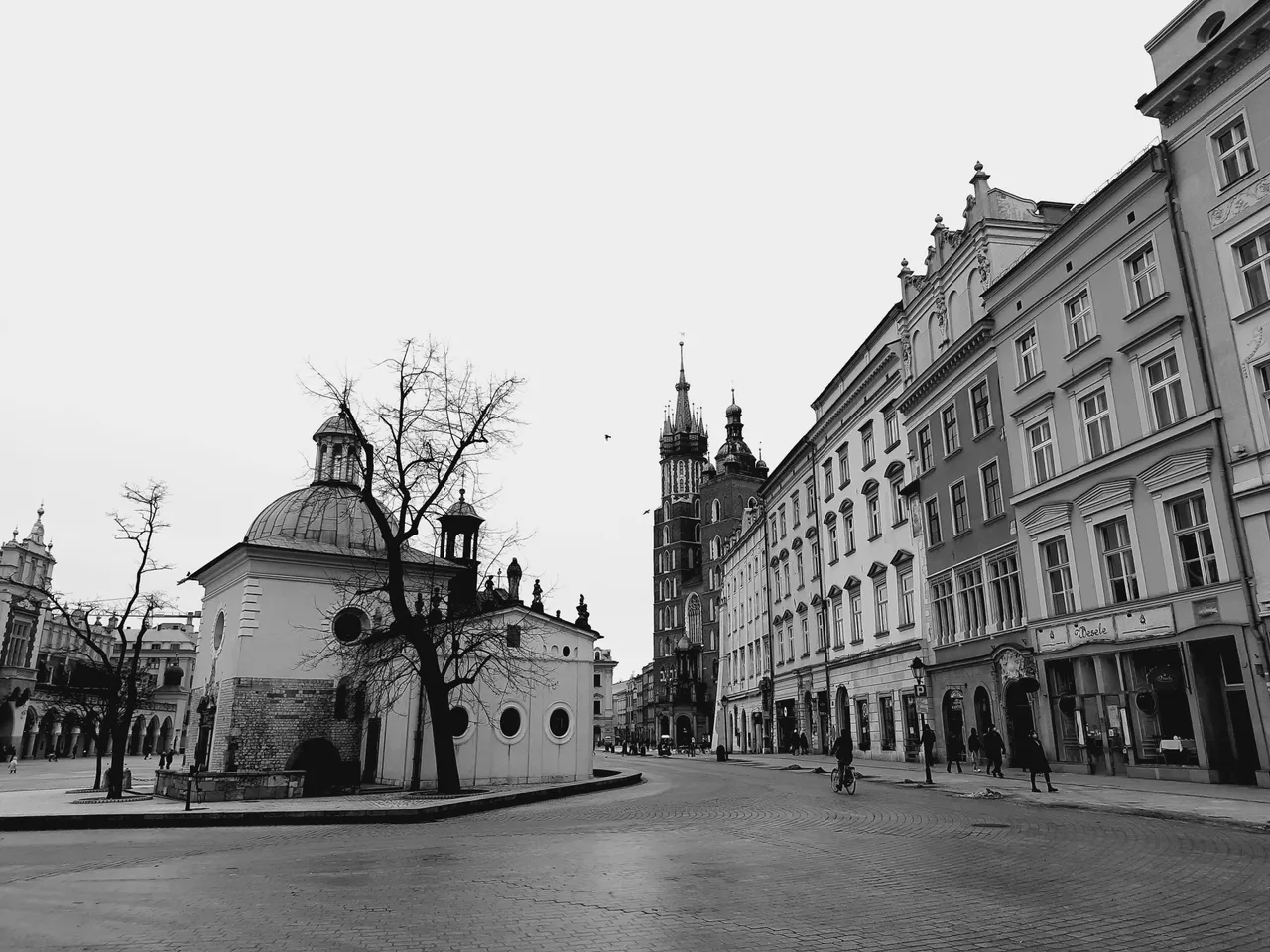 20210205_125550.jpg