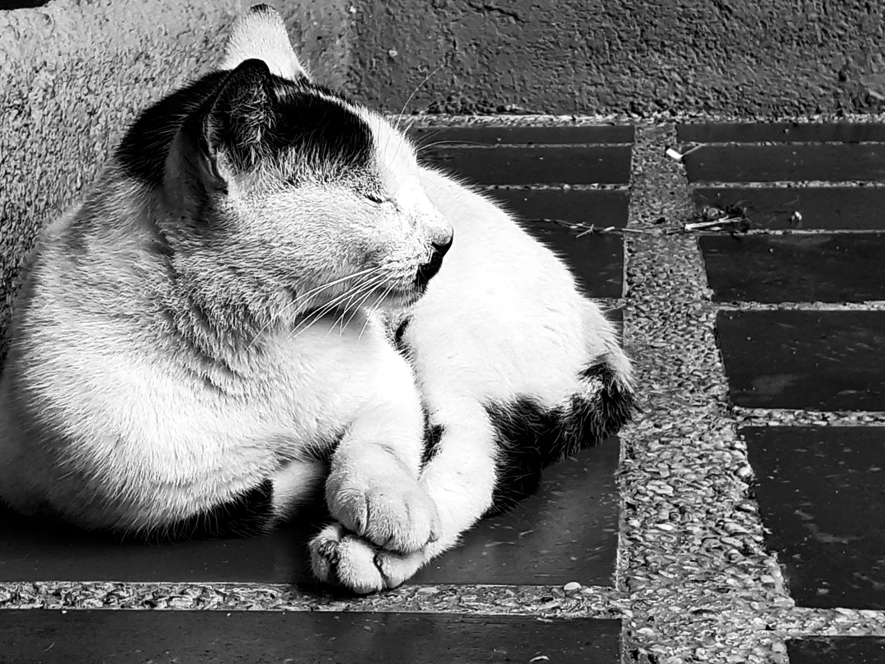 PSX_20201128_104912.jpg