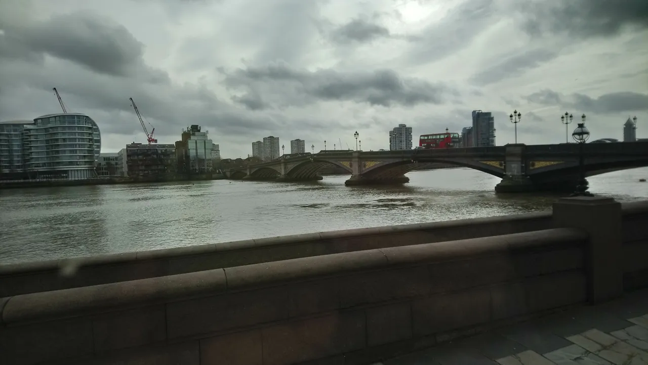 DSC_7809.JPG