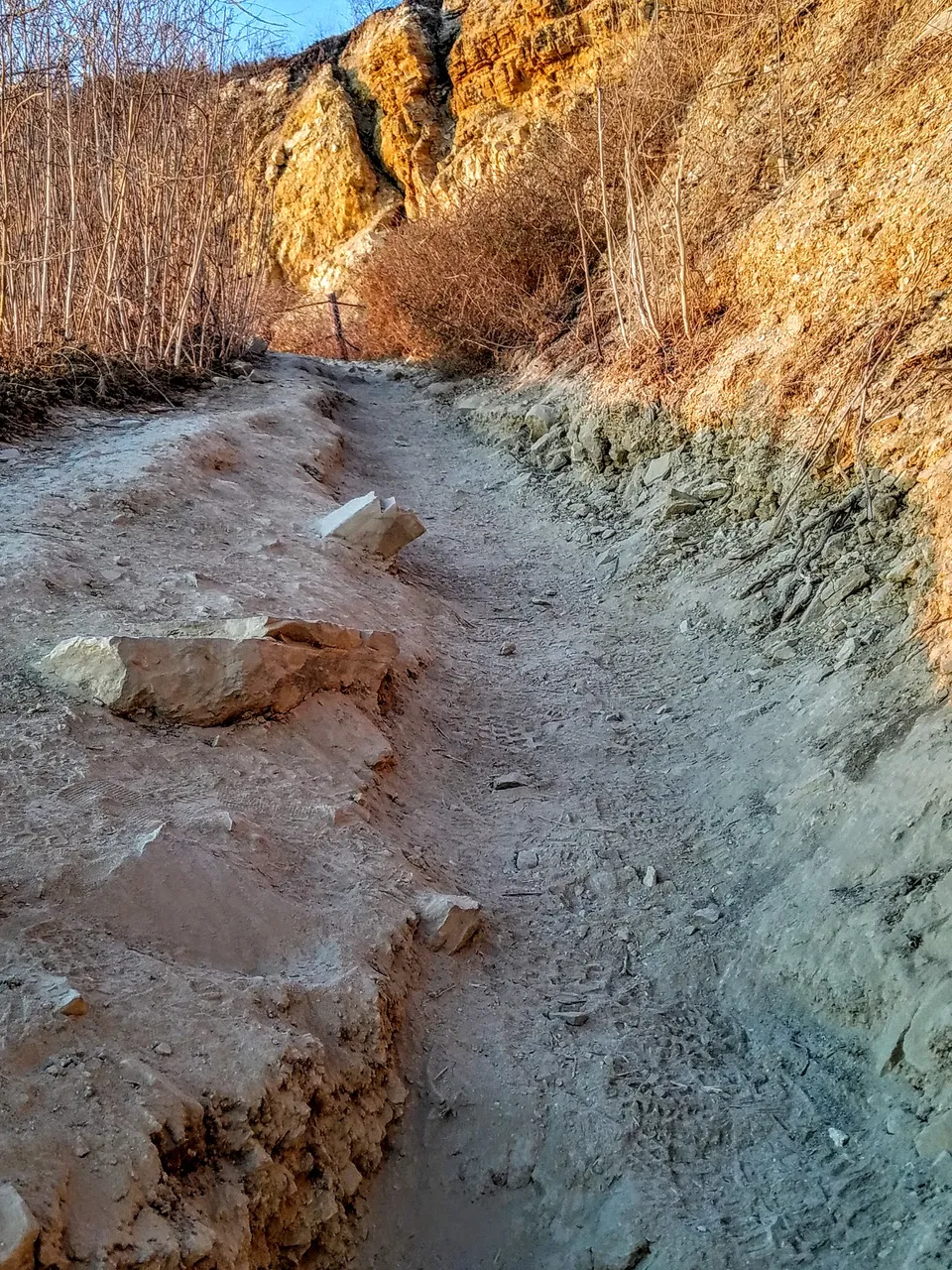 20191023_180419.jpg