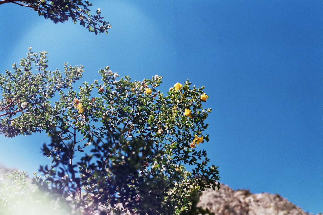 22A_0177.jpg