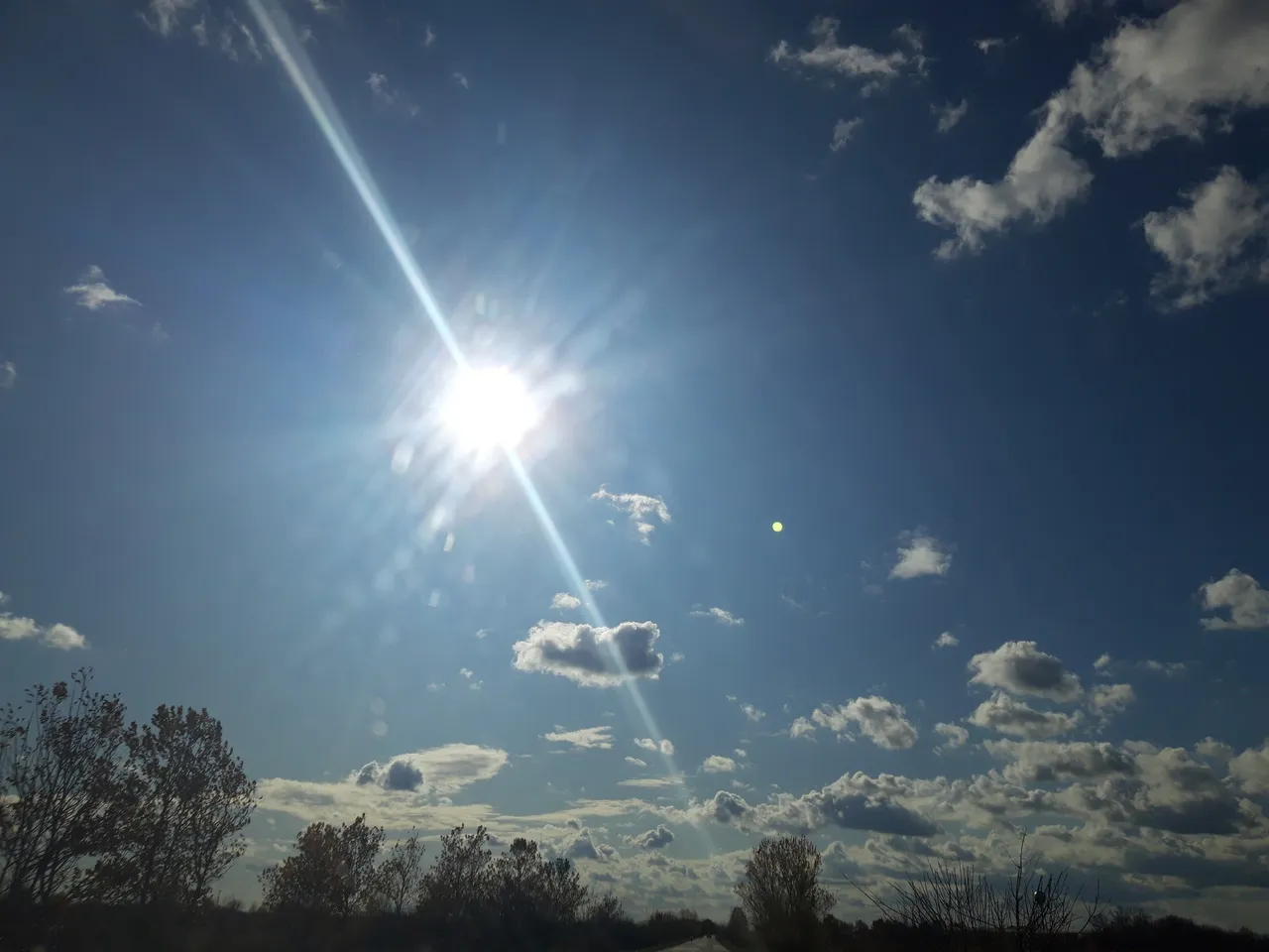 20191110_114117.jpg