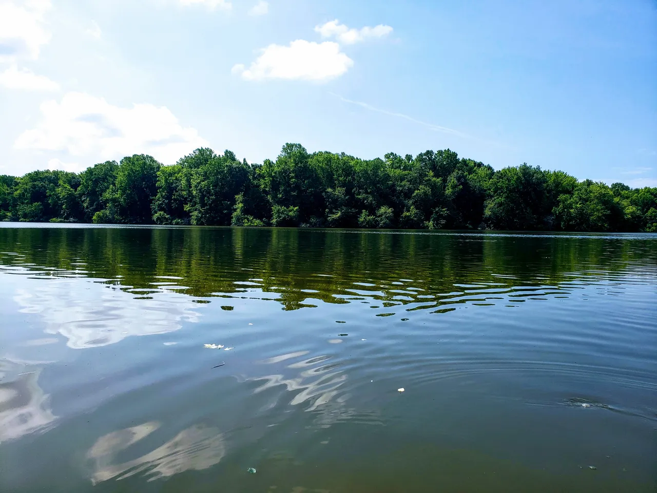 20190703_105324.jpg