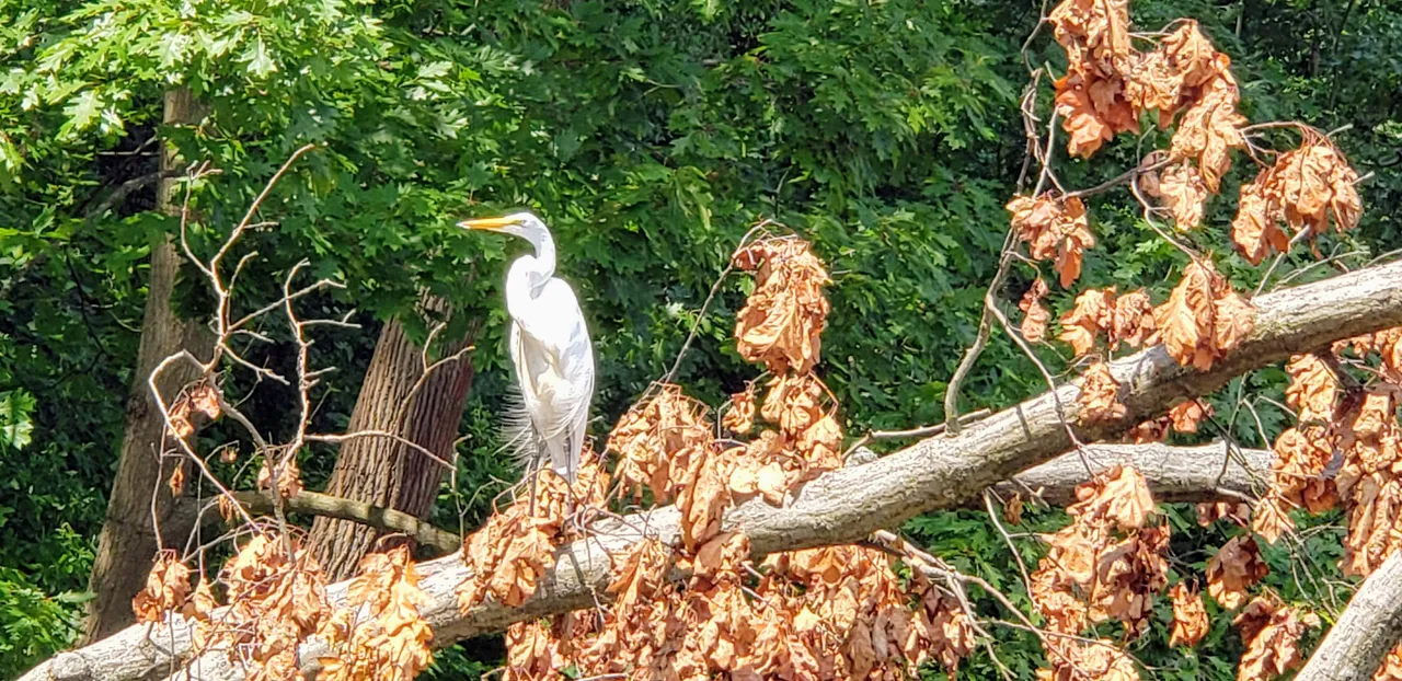 20190703_111227.jpg