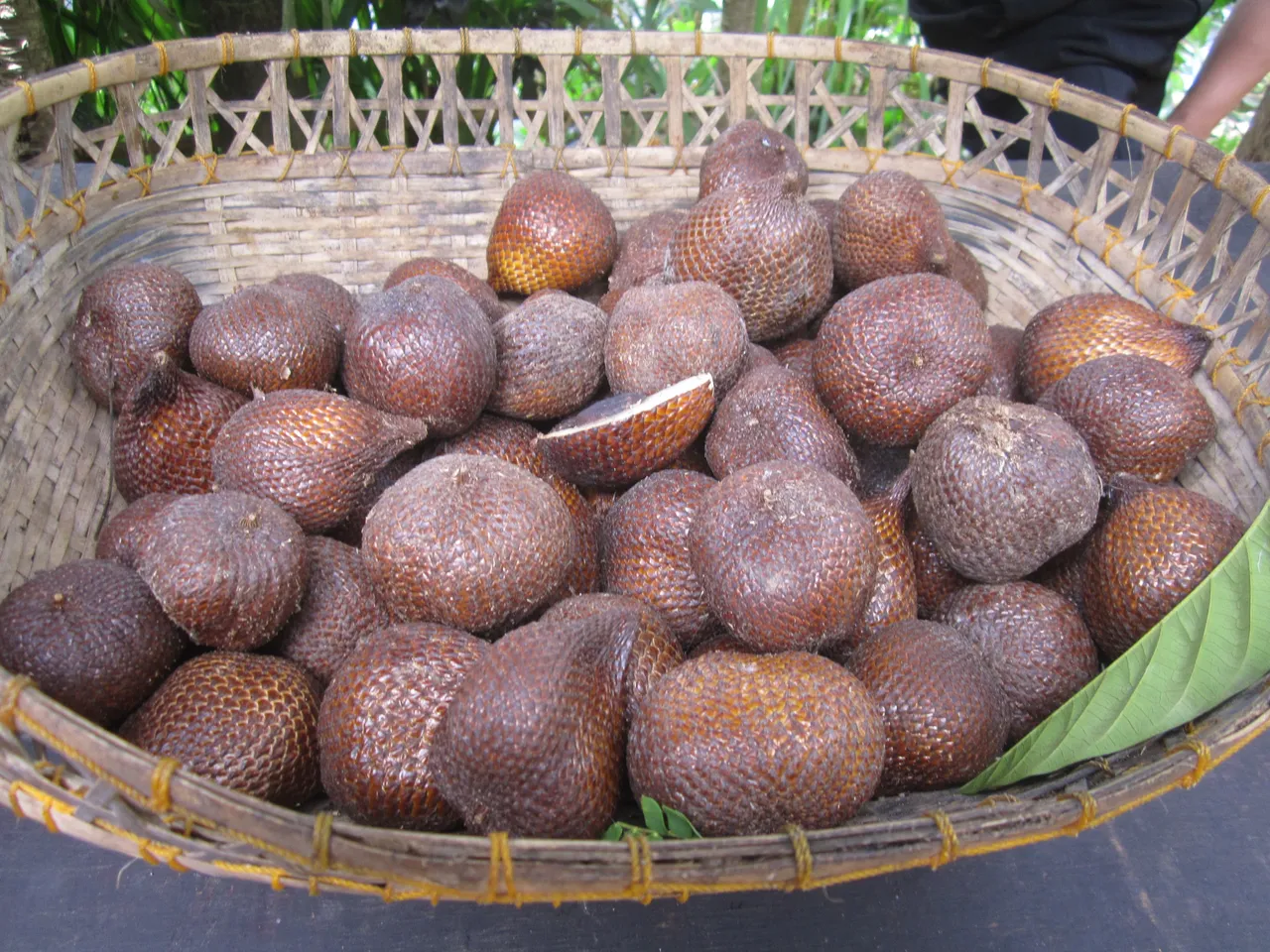 _.jpg