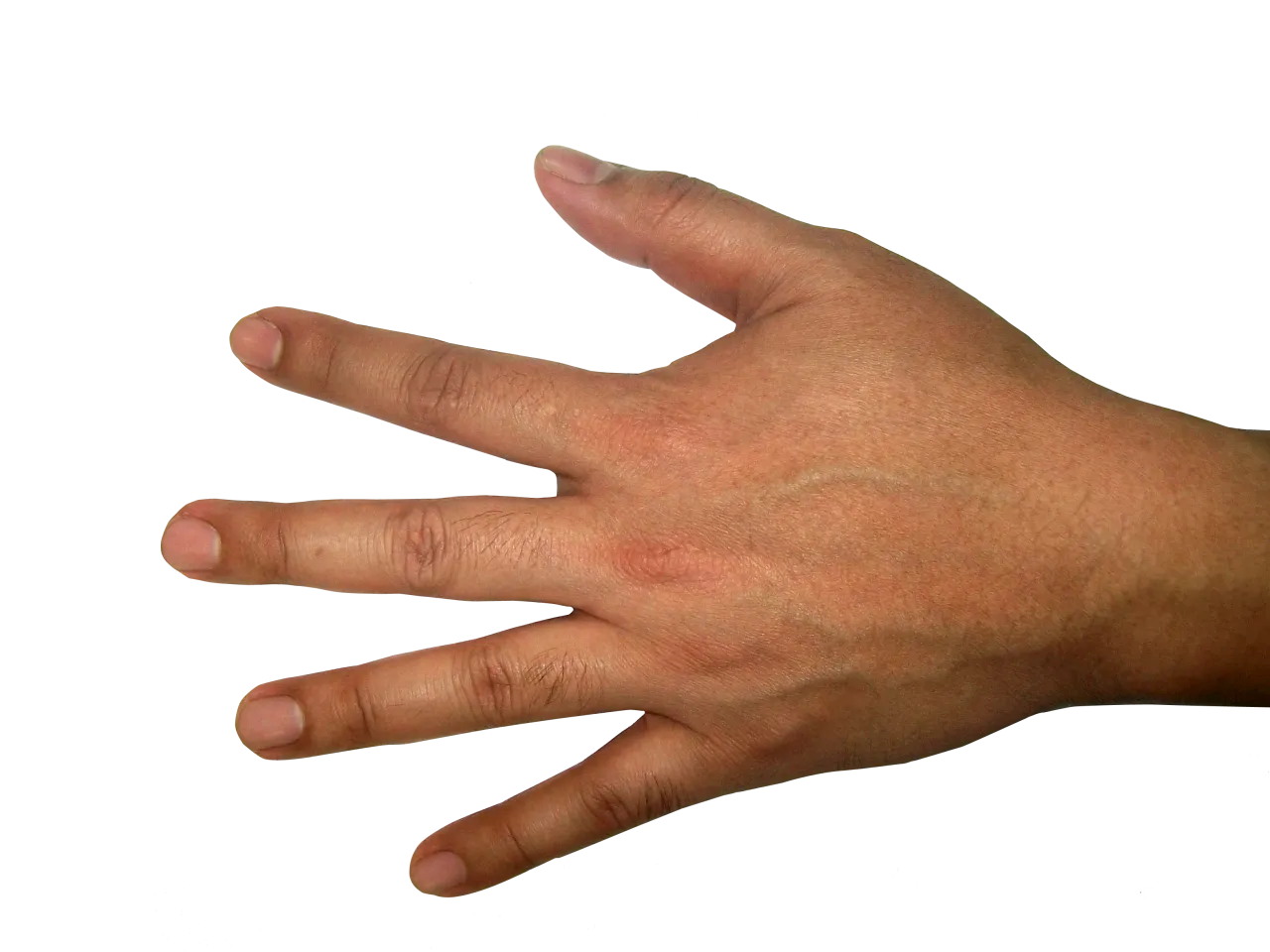 01.png