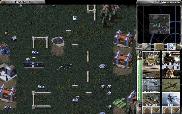 11.png