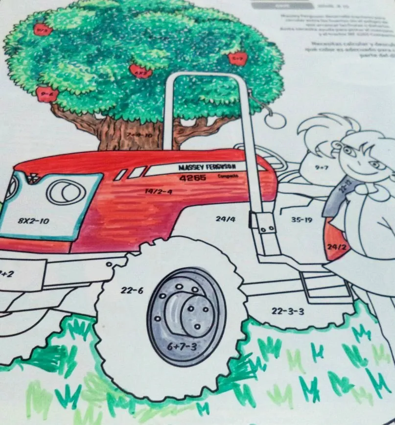 p4.jpg