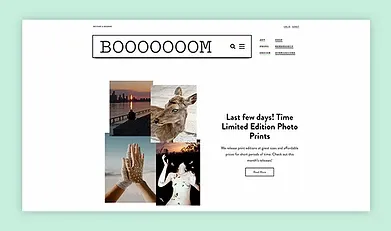 6.webp