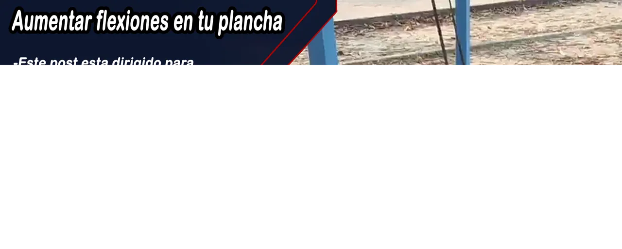 11.png