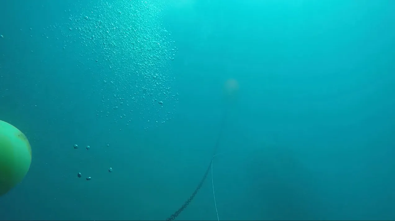 Buoy rope got tangled up with the chain and the rope of the emergency air tank.