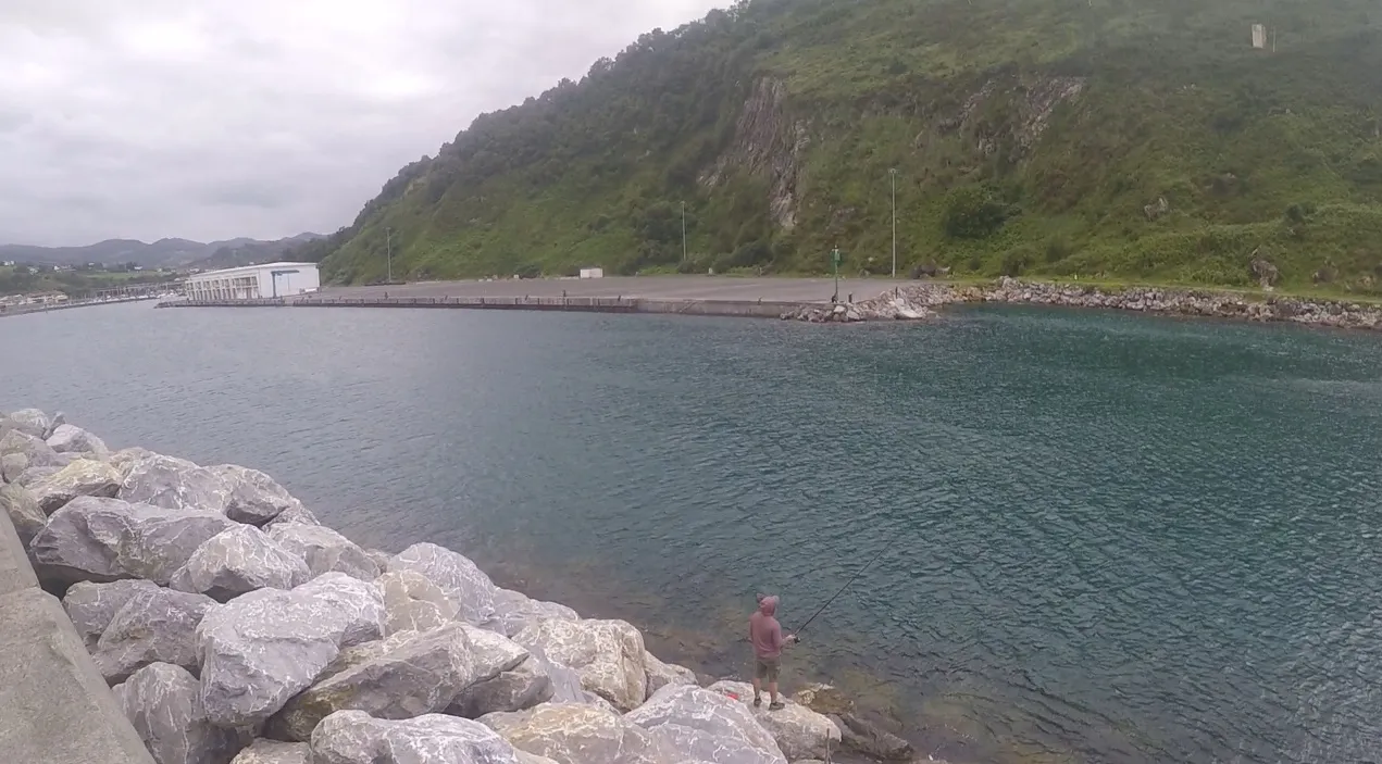 Near this fisherman spot there is a school of fish of more than half a meter long.