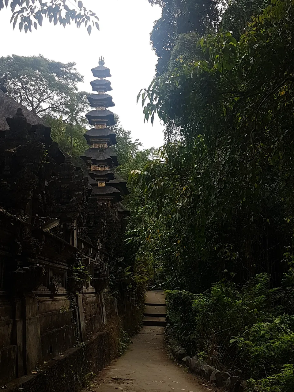 The narrow path leading onto the (Campuhan) ridge.