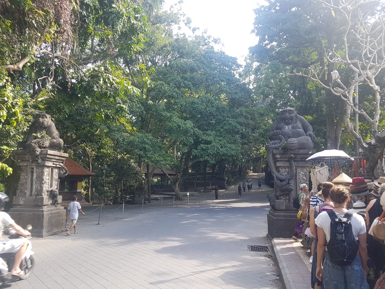 The Monkey Forest (Ubud). And yes, there were a LOT of monkeys!