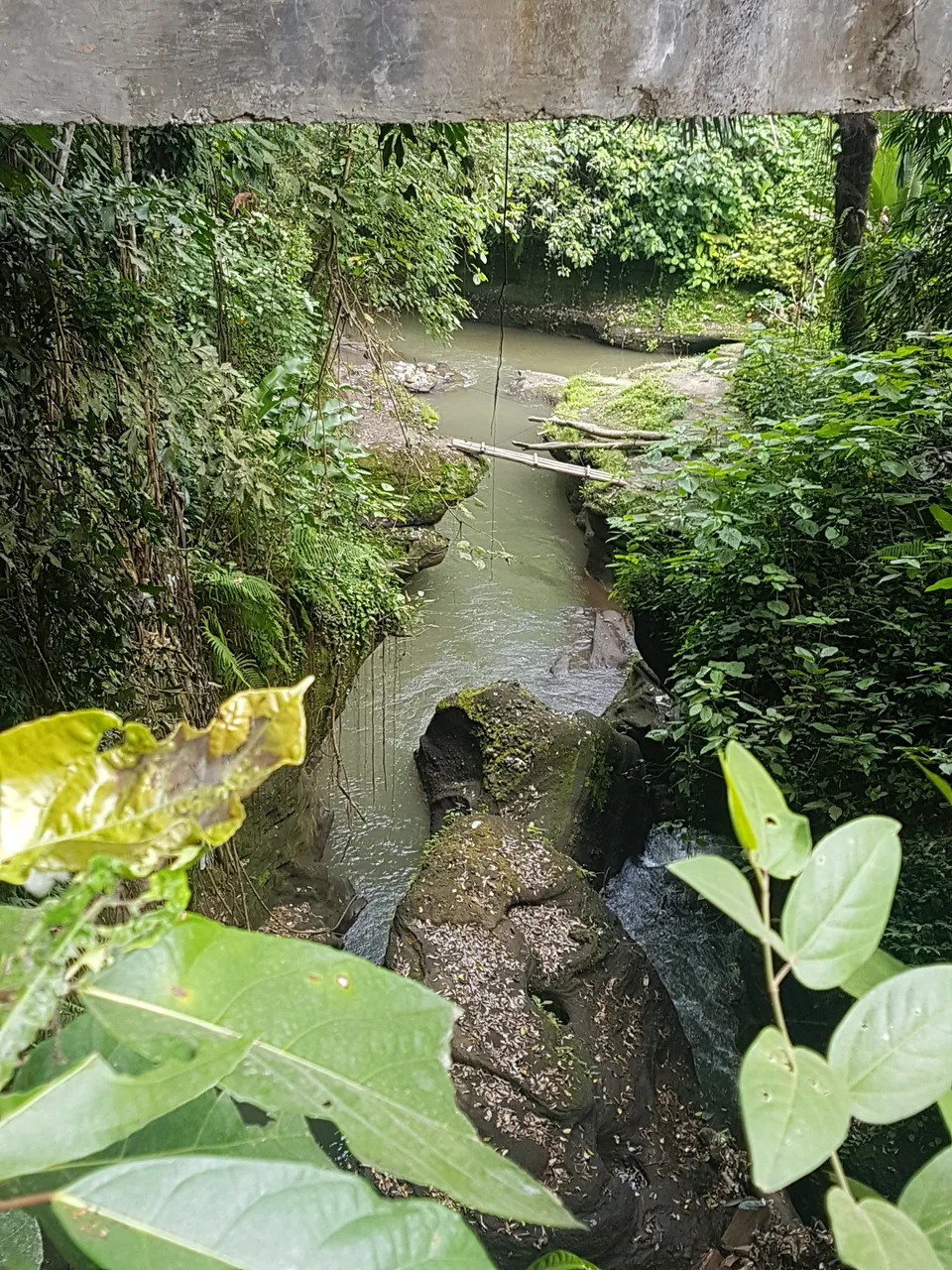 The bottom section near the very start of the Campuhan Ridge Walk.