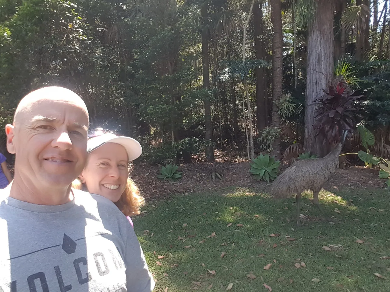 Luckily for us, after breakfast with a few of the local parkrunners, they we were willing and able to show us a few of his other favourite hangout spots. So we got to meet the famous parkrunning emu after all :)