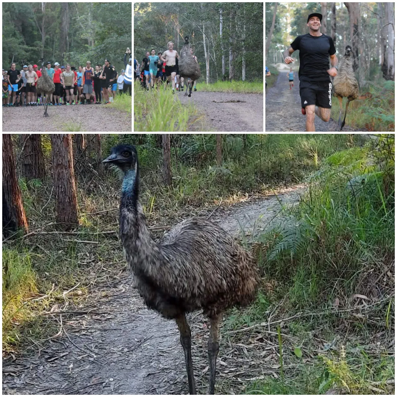 So naturally Nambour parkrun was high on our must do list!