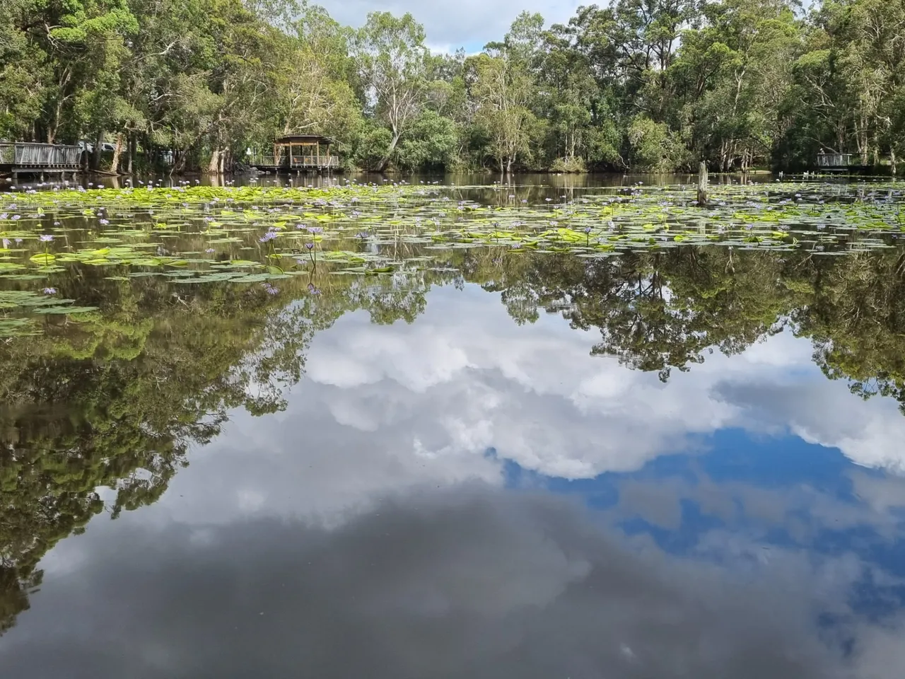 Mirrored clouds on a steamy overcast day.